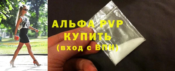 индика Баксан