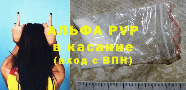 индика Баксан