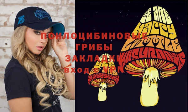индика Баксан