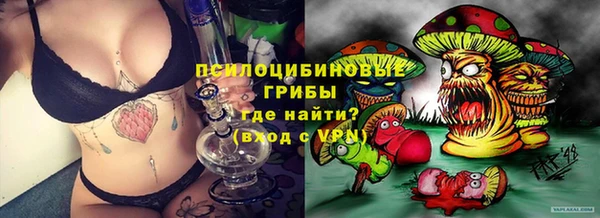 дмт Белокуриха