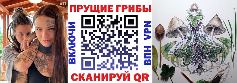 Галлюциногенные грибы прущие грибы Куртамыш