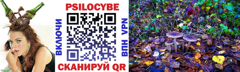 МЕГА как зайти  Куртамыш  Галлюциногенные грибы GOLDEN TEACHER 