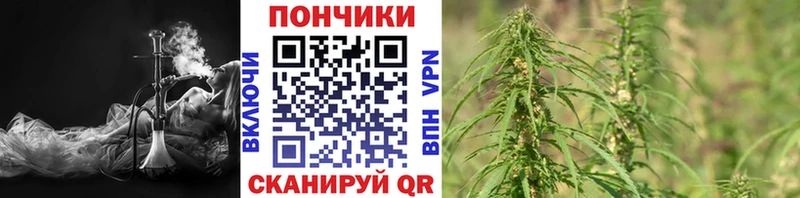 blacksprut как войти  Куртамыш  МАРИХУАНА конопля 